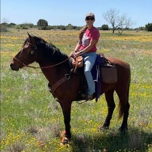 Meet your Posher, Karissa